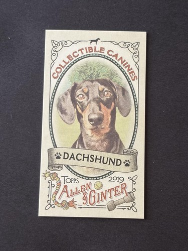 2019 topps allen ginter - 2019,
